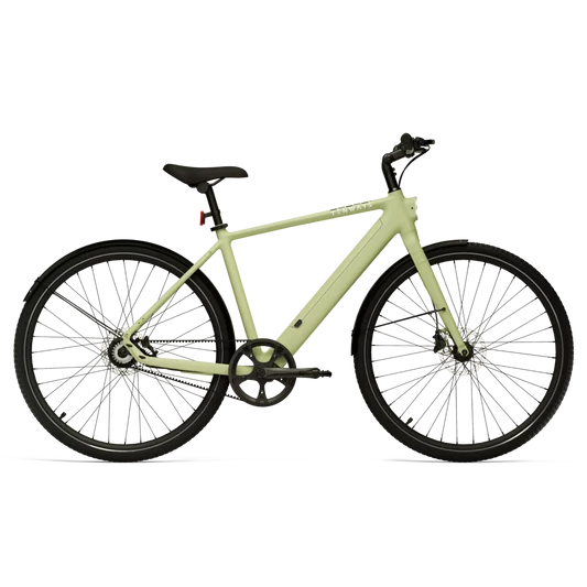TENWAYS CGO600 Pro belt-drive electric bicycle