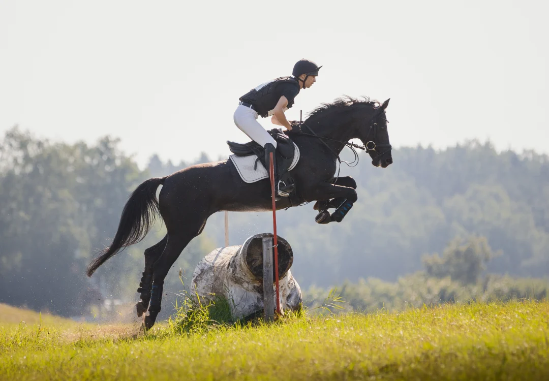 Riding hat and body protector safety kit at GS Equestrian