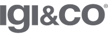 IGI&CO logo