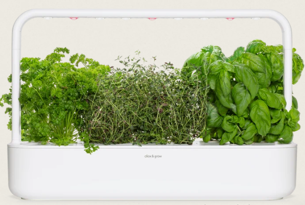 Smart Soil Instead Of Pumps And Monitors, Not A Traditional Hydroponic Setup