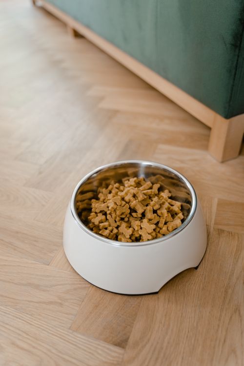 Editorial photograph related to Barkings Heads & Meowing Heads (Dog and Cat food)