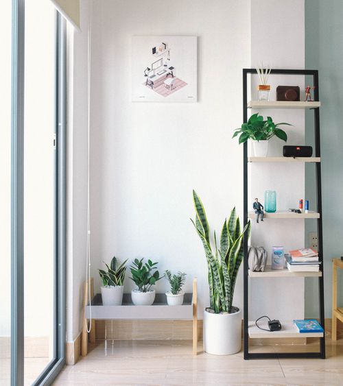 Editorial photograph related to designwebstore DE