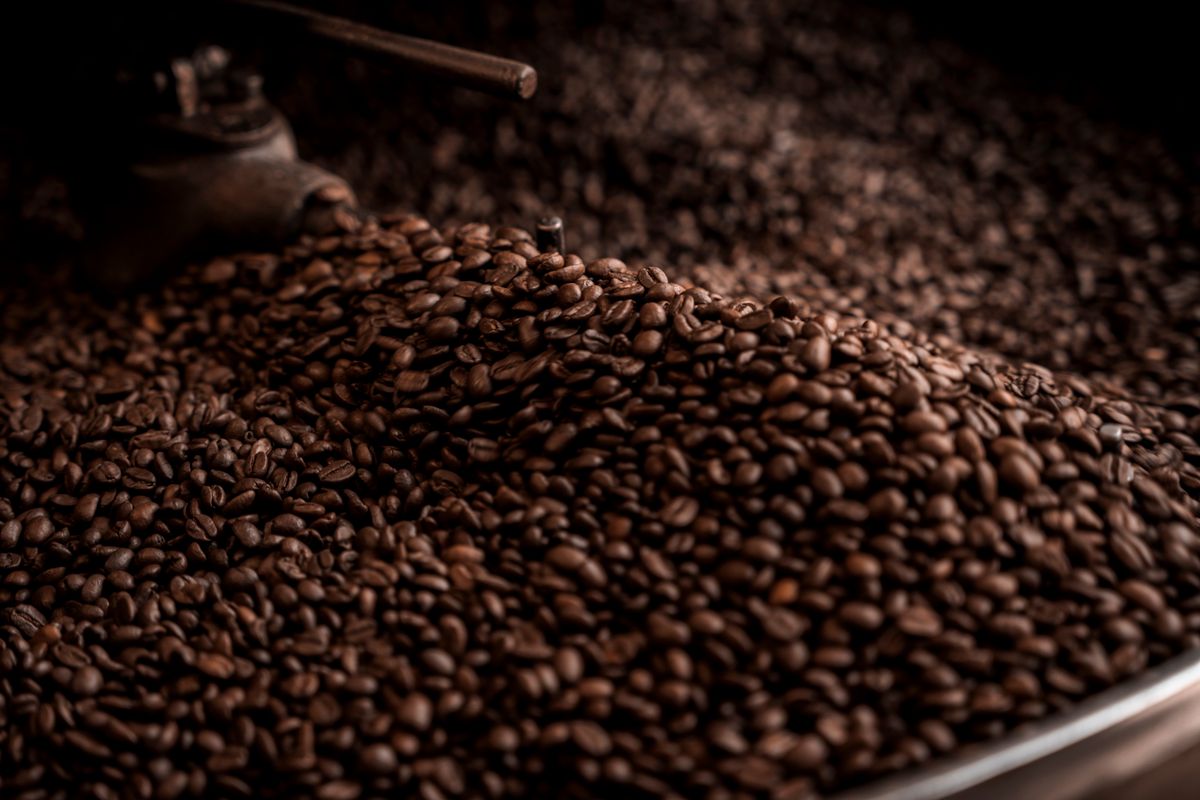 Freshly roasted coffee beans cooling in a metal roasting tray