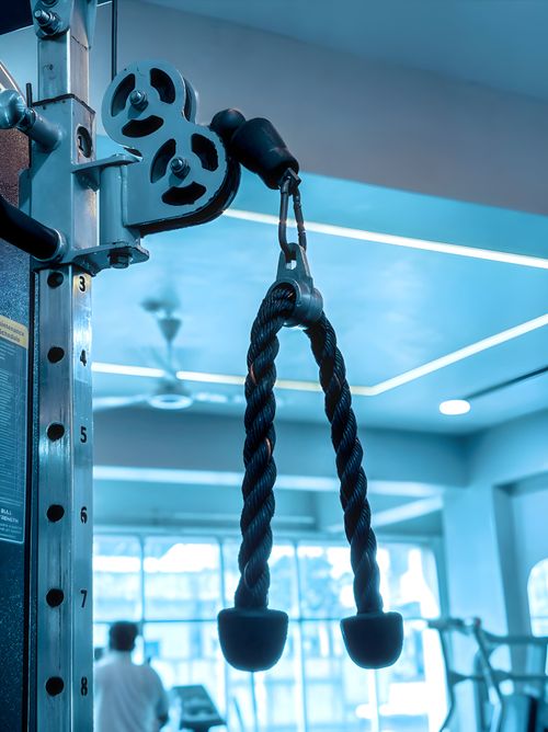 Editorial photograph related to FED Fitness US