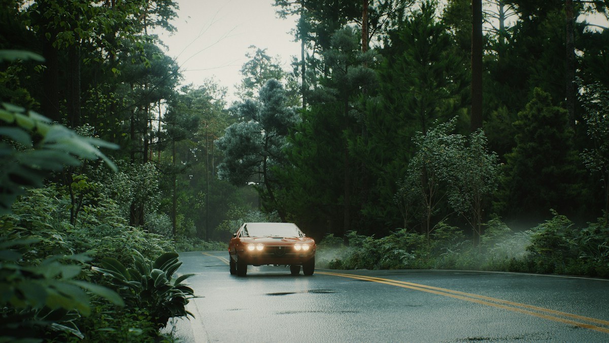 Illustrative stock photograph of a car on a tree-lined road