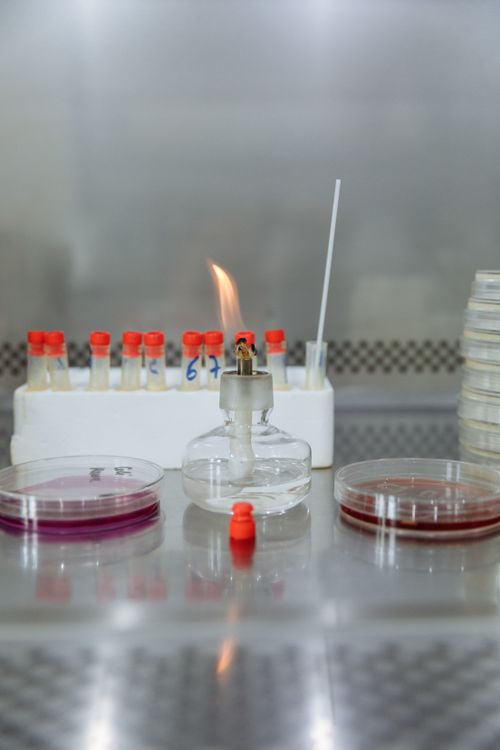 Editorial photograph related to Meteron Labs