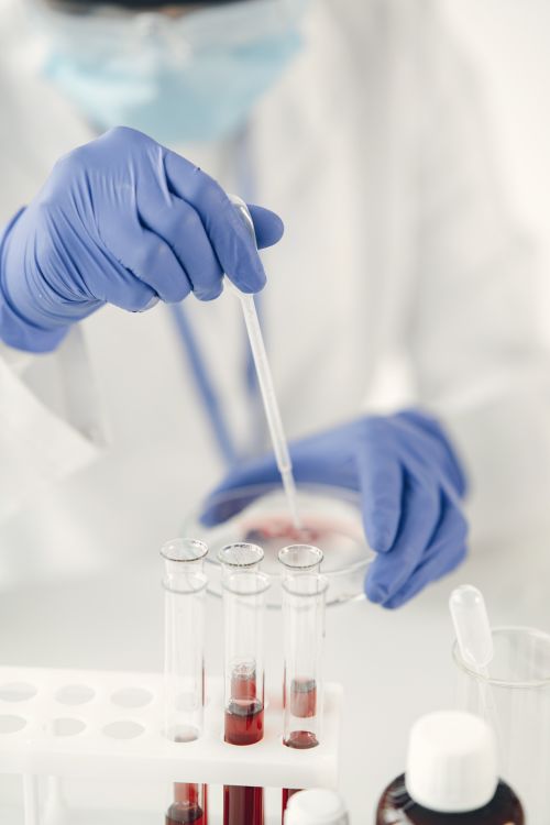 Editorial photograph related to Schnelltest-Check DE