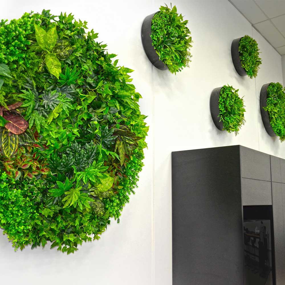 Round artificial foliage wall discs displayed above a black cabinet in a bright office